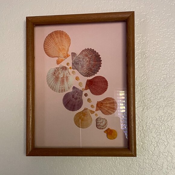 Scallop Shell Framed Wall Art Decor 10"x 14" - Picture 2 of 3
